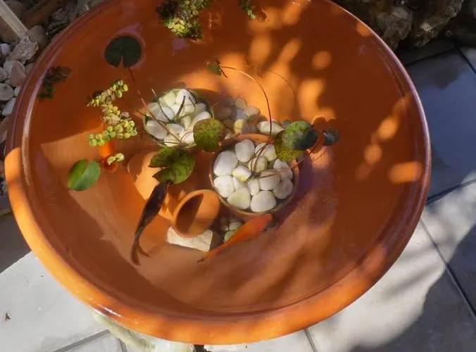 펜션 O Cantinho Do Sol 로리냐